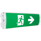 Eterna 4W economy LED maintained emergency bulkhead with ISO 7010 legend set