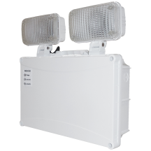 Emergency Twin Spots