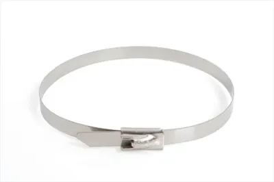Termtech 360mm Long, 4.6mm Wide, Ball Lock Tie Stainless Steel